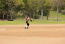 20120329010.jpg